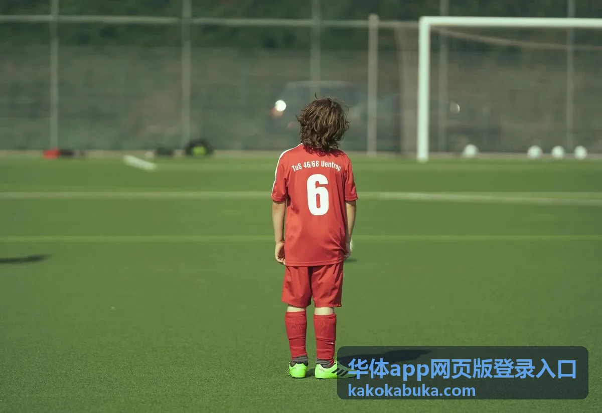 华体app网页版登录入口的场馆与赛程服务界面示意